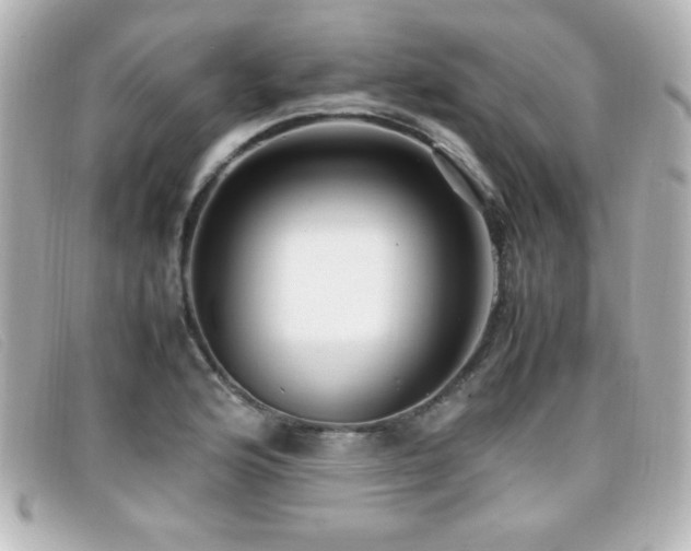X0000099431176200805091244