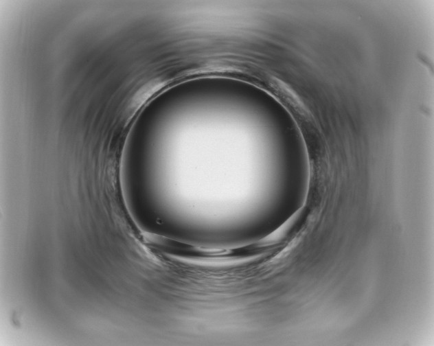 X0000099431177200805091244