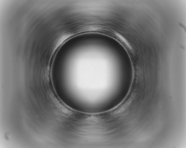 X0000099431178200805091244