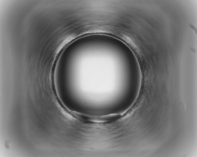 X0000099431181200805091243
