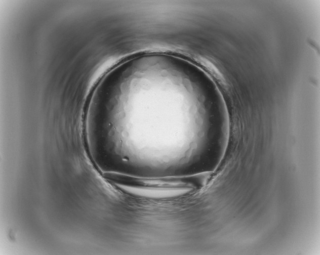 X0000099431183200805091243