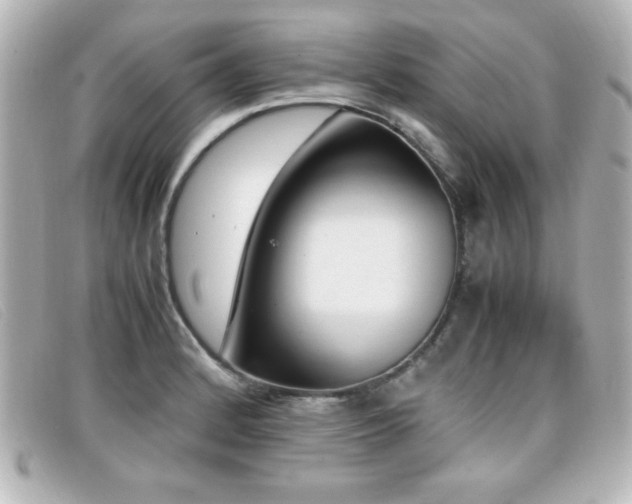 X0000099431184200805091243