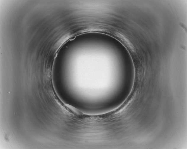 X0000099431185200805091243