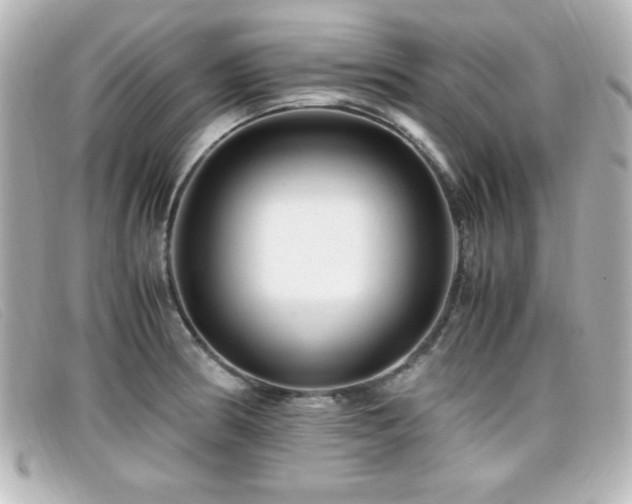 X0000099431186200805091243
