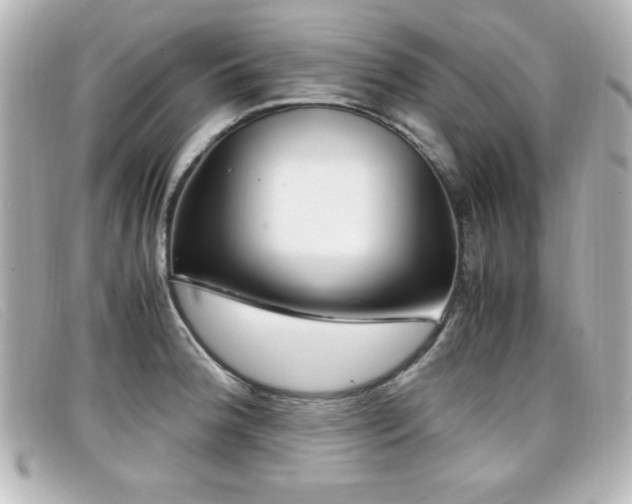 X0000099431188200805091243