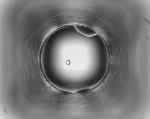 X0000099431189200805091243
