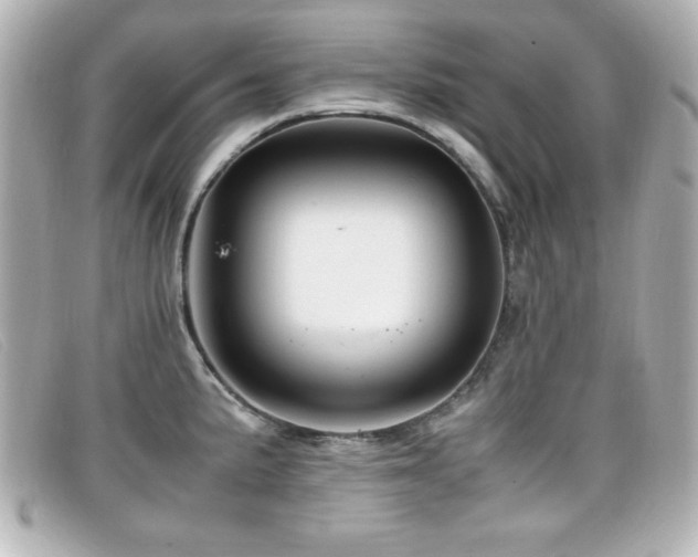 X0000099431191200805091243