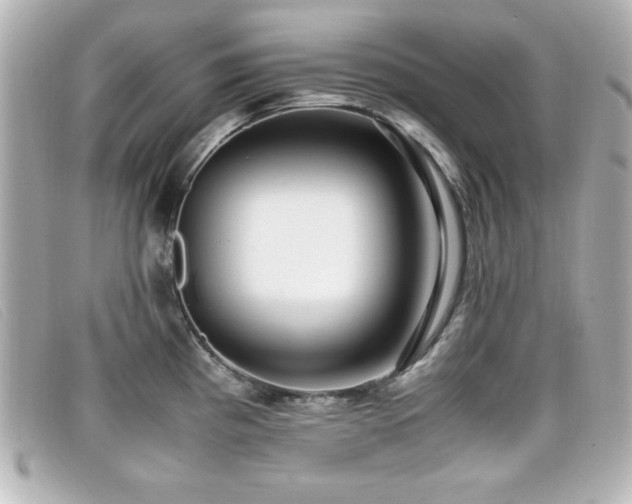 X0000099431193200805091243