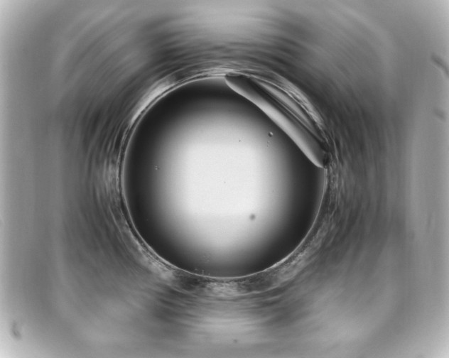 X0000099431194200805091243
