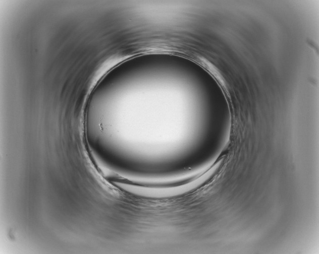 X0000099431195200805091243