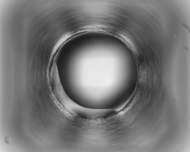 X0000099431196200805091243