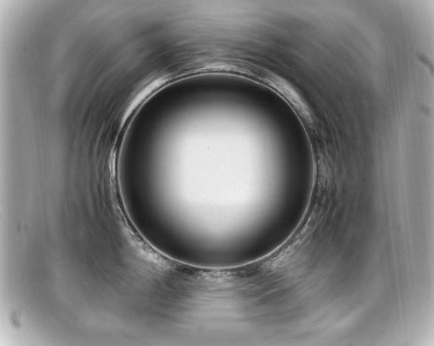 X0000099431198200805091243