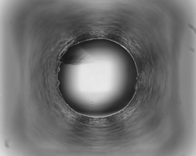 X0000099431201200805091243