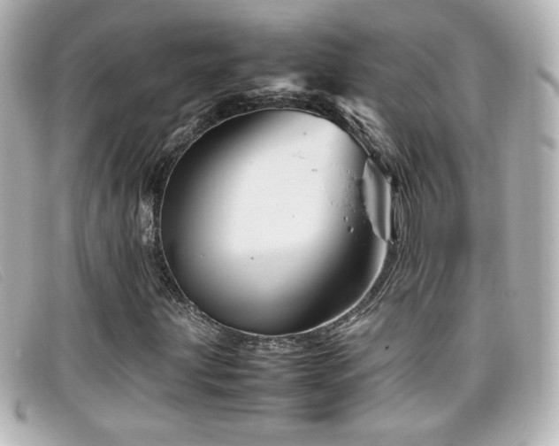X0000099431203200805091243