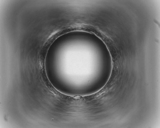 X0000099431206200805091243