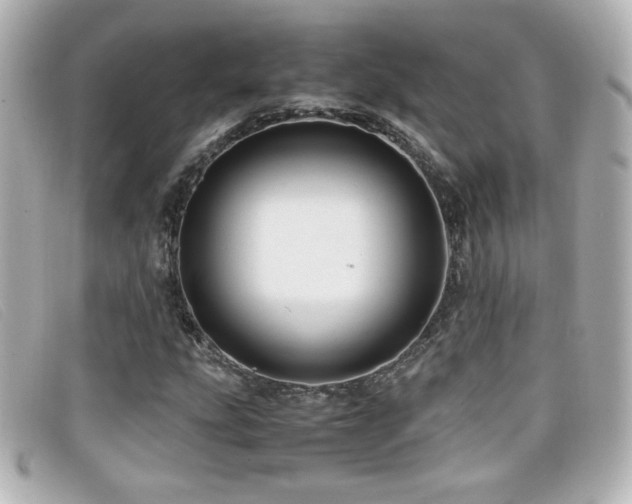 X0000099431207200805091243