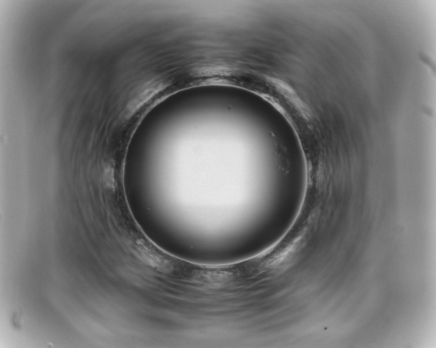 X0000099431209200805091243