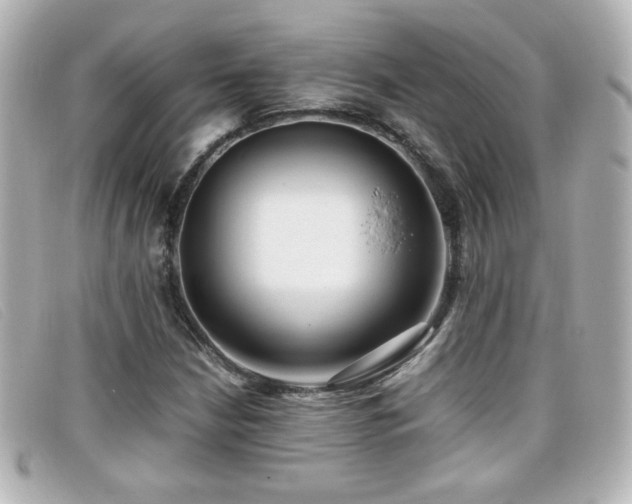 X0000099431210200805091243