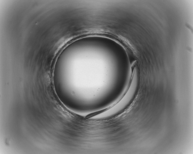 X0000099431212200805091243