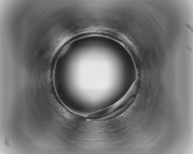 X0000099431216200805091243