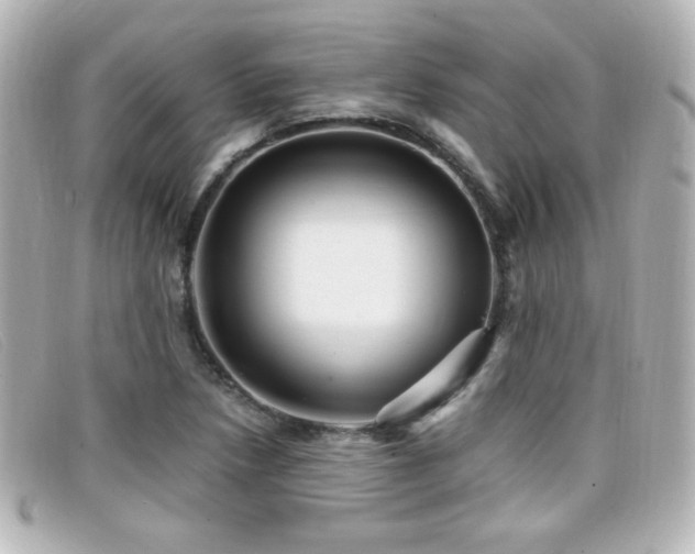 X0000099431218200805091243