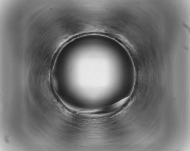 X0000099431220200805091243