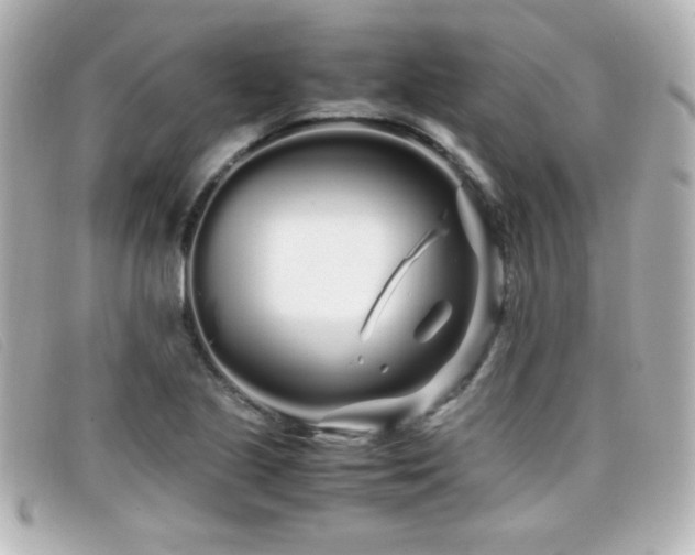X0000099431221200805091243