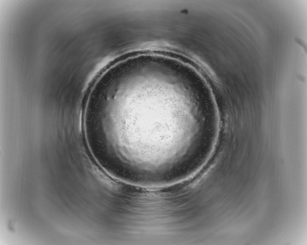 X0000099431224200805091243