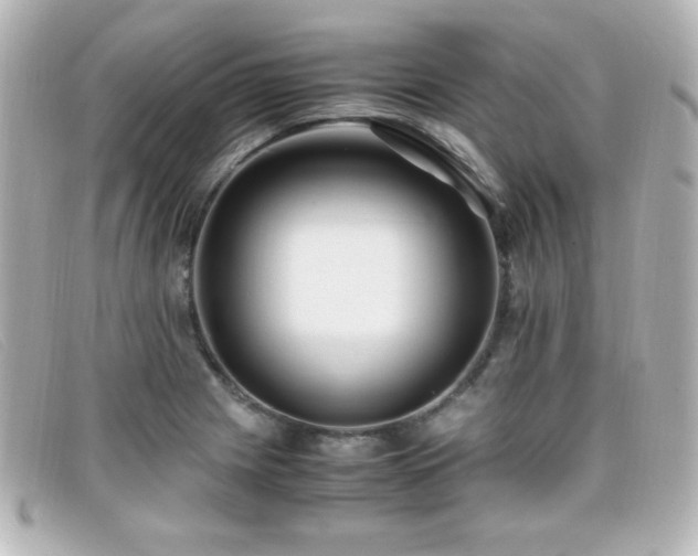 X0000099431225200805091243