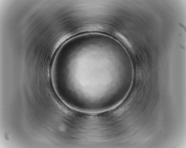 X0000099431226200805091243