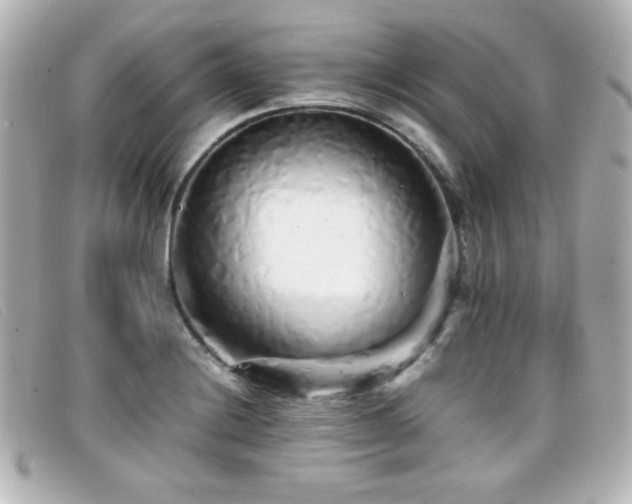 X0000099431228200805091243