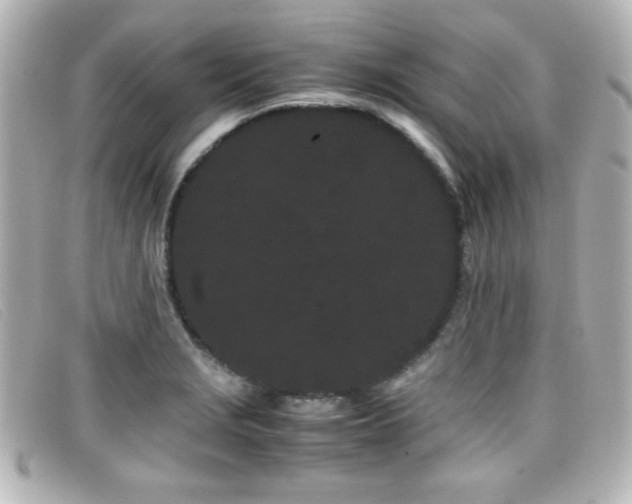 X0000099431229200805091243
