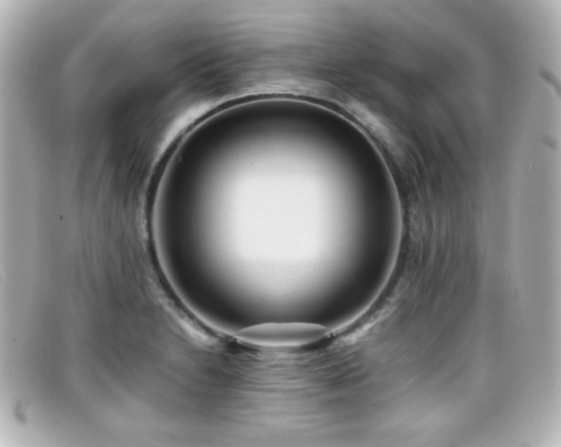 X0000099431230200805091243