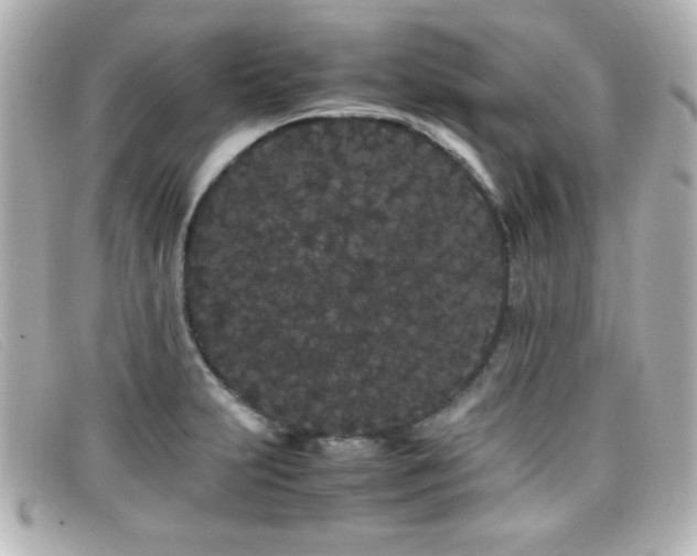X0000099431231200805091243