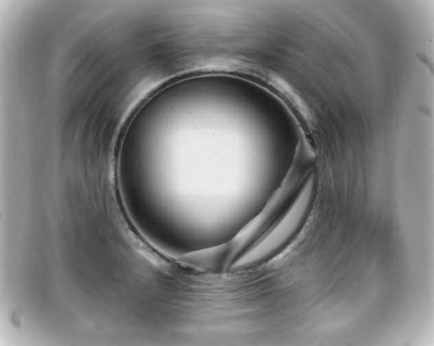 X0000099431232200805091243