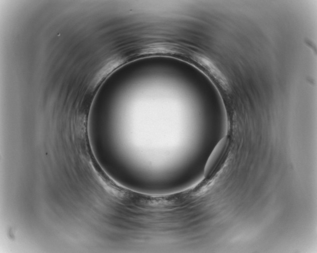 X0000099431233200805091243