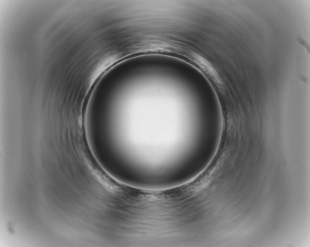 X0000099431234200805091243