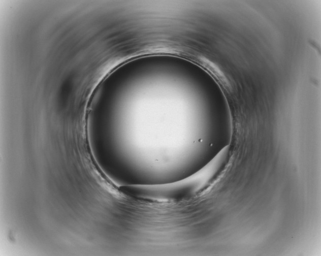 X0000099431236200805091243