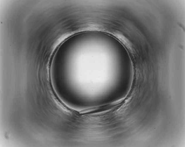 X0000099431238200805091243