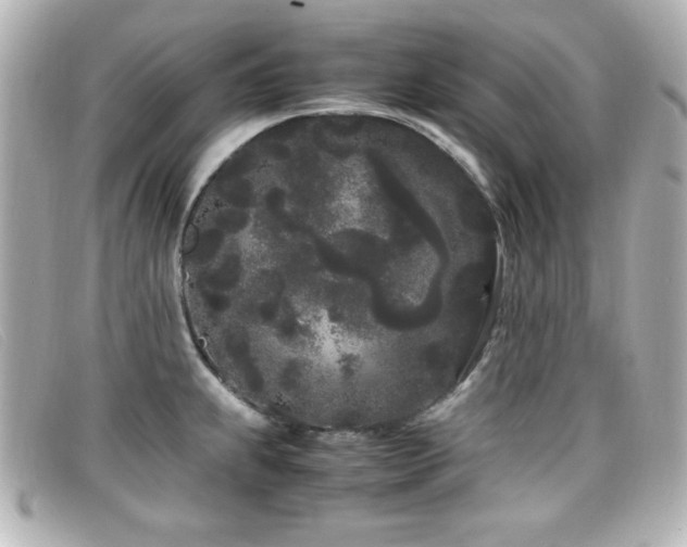 X0000099431239200805091243