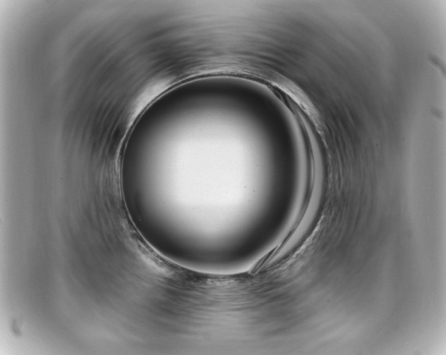 X0000099431242200805091243