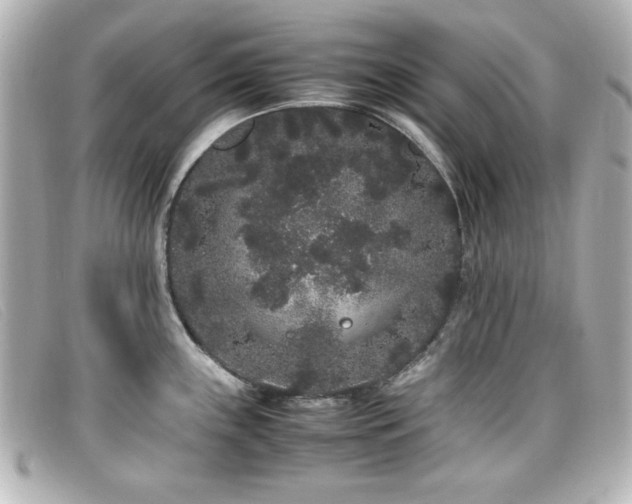 X0000099431243200805091243