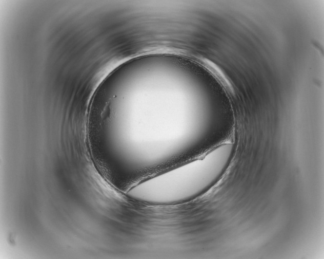 X0000099431244200805091243