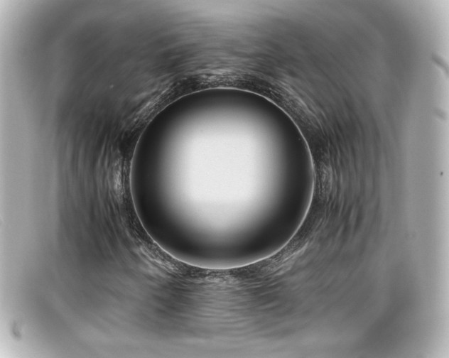 X0000099431250200805091242