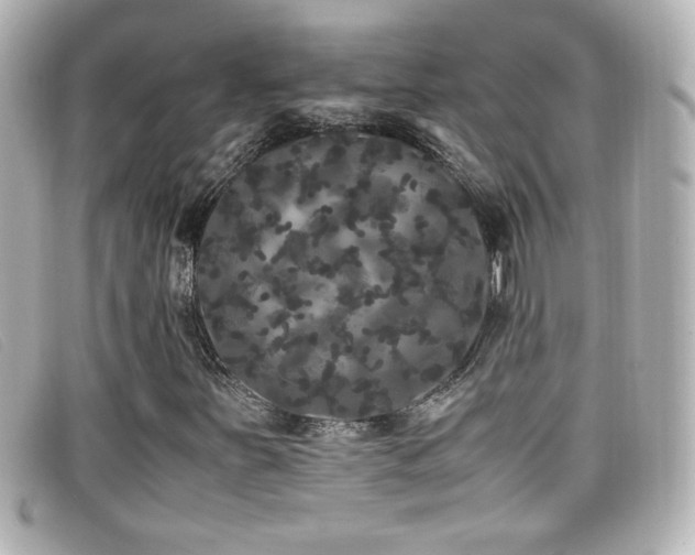 X0000099431251200805091242