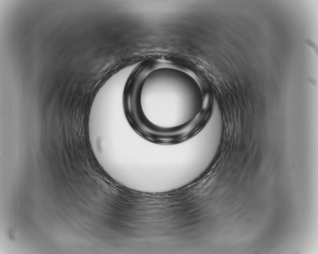 X0000099431252200805091242