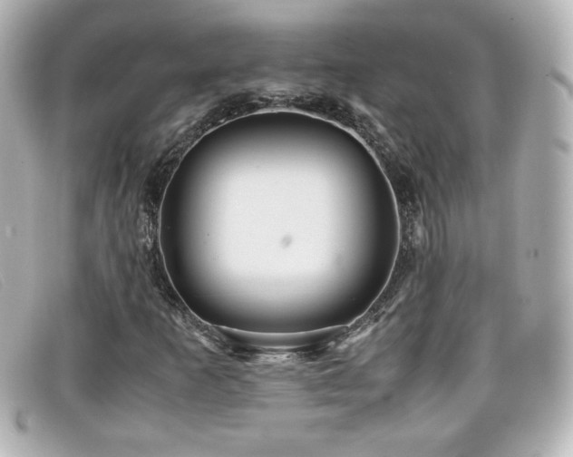 X0000099431253200805091242