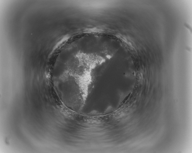 X0000099431254200805091242
