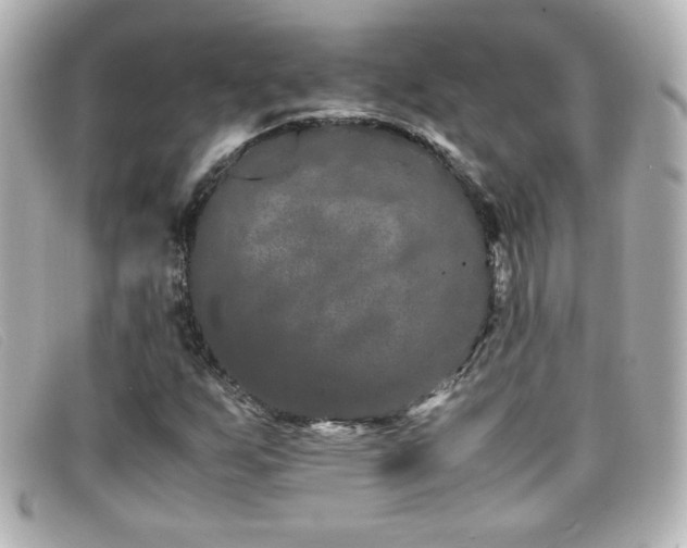 X0000099431255200805091242