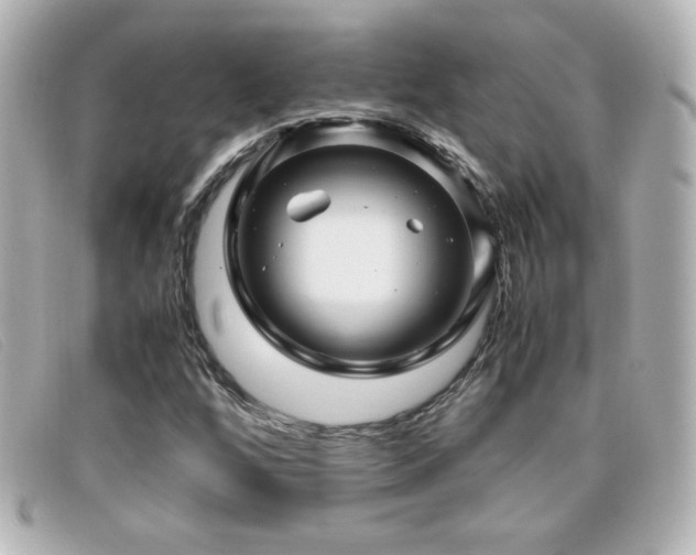X0000099431256200805091242